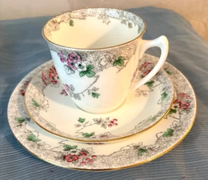 Vintage Shelley Cup, Saucer, Plate Trio. Trailing Vine 1930s China Tableware - Picture 1 of 6