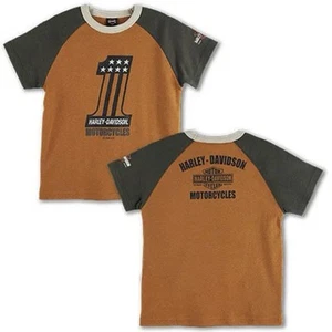 Harley Davidson Boys Tshirt Graphic Tee Orange Green 6 Biker Stars - Picture 1 of 6
