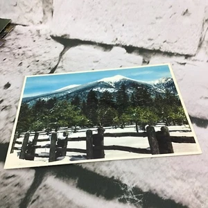 Vintage Postcard San Francisco Peaks Near Flagstaff Arizona  - Picture 1 of 3