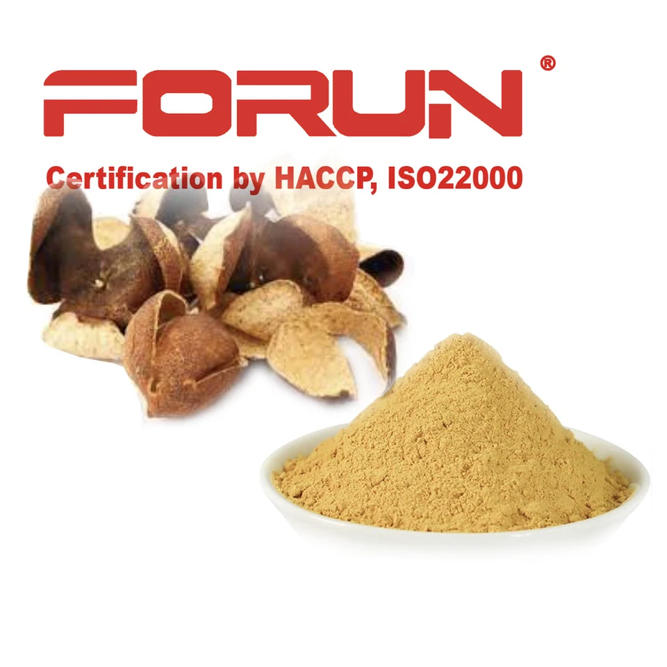 FORUN Premium Orange Peel Ground Powder (陈皮粉）-Pure, Fine Powder - image 1 of 1