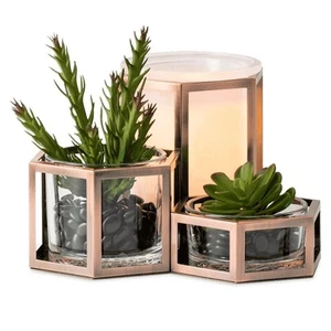Scentsy Wild Desert Wax Warmer Succulent Plants Glow Zen Spa New in Box - Picture 1 of 4