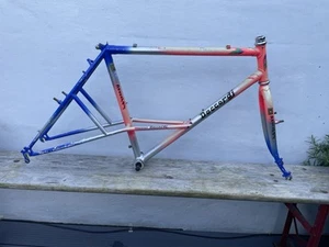 Vintage Retro Daccordi MTB Frameset Columbus Tubing Elevated Chain Stay ECS Rare - Picture 1 of 24