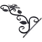 Iron Plant Wall Hanger for Garden Decor and Hanging Plants