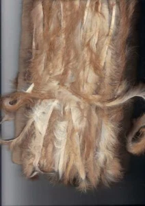 PINGOUIN FUR STRIP - 1 METER - GOLDEN SABLE FOR KNITTING OR TRIM - Picture 1 of 5