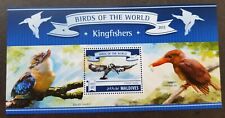 *FREE SHIP Maldives Birds Of The World Kingfisher 2015 Fauna (ms) MNH