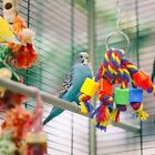 Bite Resistant Training Parrot Toy Bird Chewing Toy Pet Products Bird Supplies