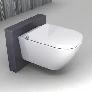 Spülrandloses Dusch WC Gesäßdusche Ladydusche BERNSTEIN Komplettanlage Basic1104 - Bild 1 von 13