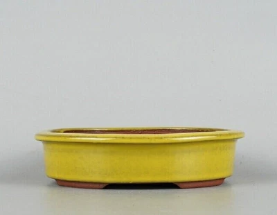 Olla bonsái japonesa TOKONAME firmada por EIMEI amarilla esmaltada ovalada SESSOKU w7.1" *506 Foto 1 de 4