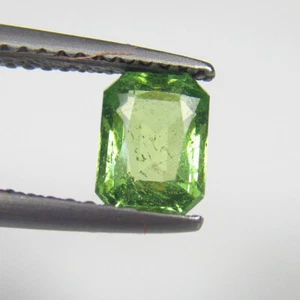 Asta 1,01 Ct ~ $1 Senza Riserva Apatite Verde Naturale Taglio Radiante Ottagonale - Foto 1 di 2