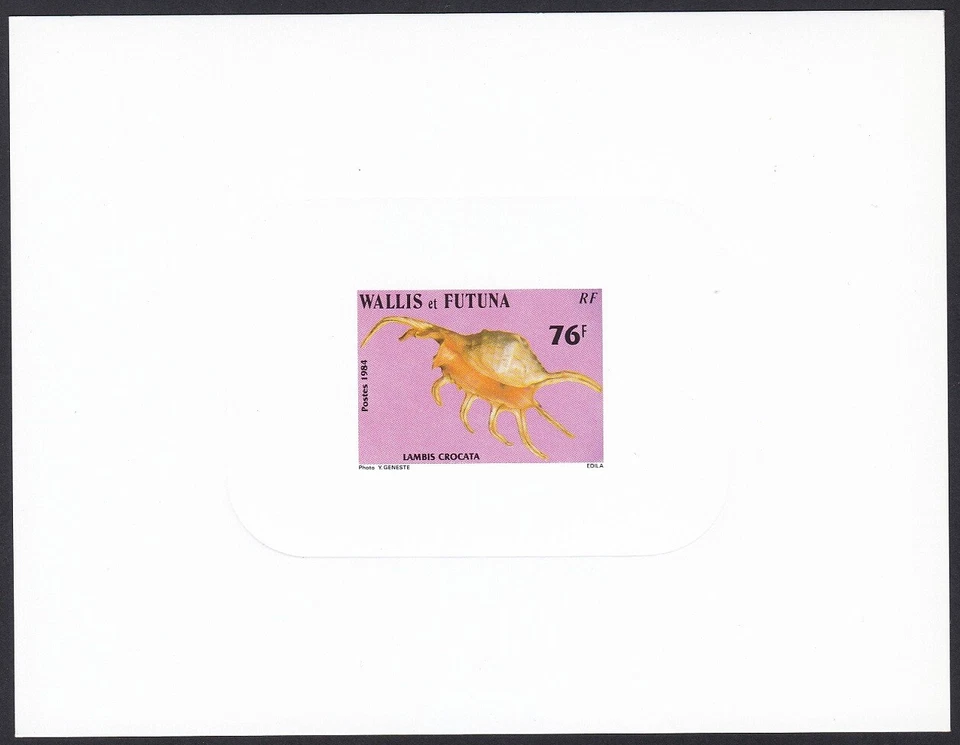 Wallis & Futuna Sc314 Seashell, Sea Snail, Lambis crocata, Deluxe Proof - Image 1 of 1