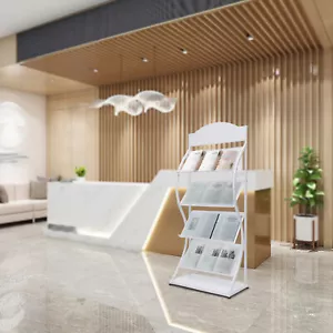Floor-Stand Magazine Stand Magazine Rack Brochure Display Holder Newspaper White - Picture 1 of 19