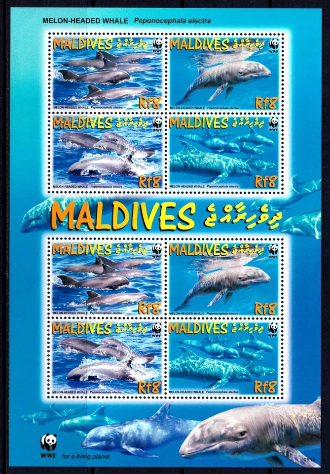 Maldives 2004 Whales - WWF Mint MNH Miniature Sheet SC 2897e - Image 1 of 1