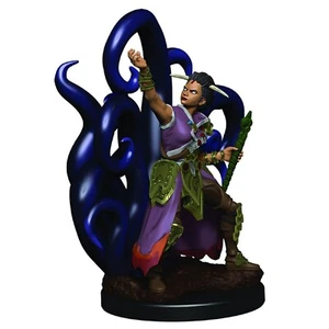 HUMANO MUJER BRUJO D&D Iconos de los Reinos Miniaturas Premium Wizkids WZK93018 - Imagen 1 de 5
