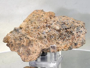 NWA 14429, diogenita, 348,8 g, meteorito HED cara pulida, cristales quirúrgicos grandes - Imagen 1 de 22