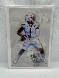 Cam Ward 4x6 Art Photo Print John Rudolph Signed Miami - Picture 1 of 1