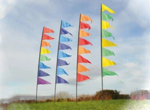 Spirit of Air 3.4m Pendant Banner Kit Complete With Pole and Ground Stake - Picture 1 of 6