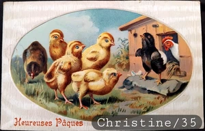 Christine Nr. 35 AK alte Prägung Frohe Ostern Küken Ei ungeschrieben - Bild 1 von 2