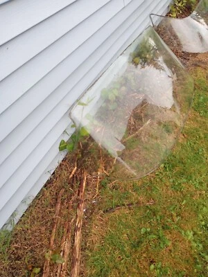 front and rear windshield glass 59/60 chevy - Image 1 of 4