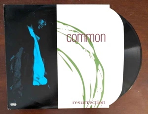 Common: Resurrection 1994 Relativity Records 88561-1208-1 Vinyl LP Record - Imagen 1 de 11