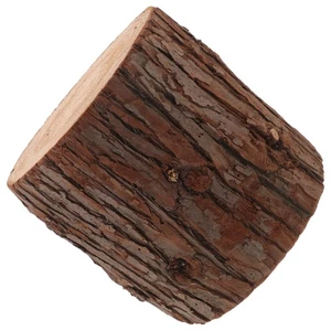 Natural Wood Stump Table: Natural Tree Trunk End Table - Rustic Wooden Vase - Picture 1 of 12