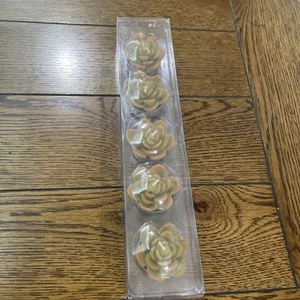 Pottery Barn Succulent Echeveria Candle Tealights SET OF 5 NEW in box - Picture 1 of 6