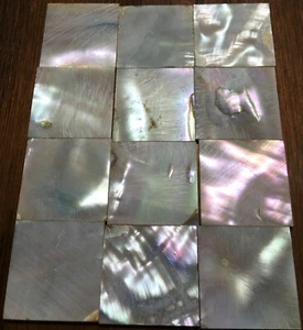 29.1 grams (12pcs) Abalone Fretboard Inlay NOS Gibson Kalamazoo Factory Lot-12 - Picture 1 of 5