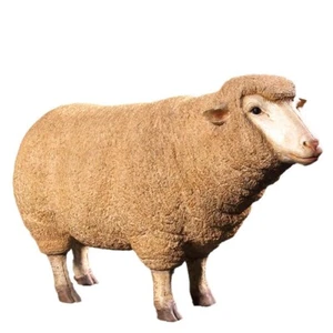 105CM LIFE SIZE MERINO EWE SHEEP STATUE GARDEN/INDOOR PATIO LAWN ORNAMENT ANIMAL - Picture 1 of 3