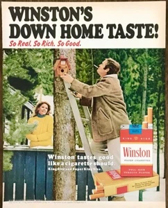 1972 Winston Zigaretten DRUCKANZEIGE Down Home Geschmack Ehemann hängendes Vogelhaus - Bild 1 von 1