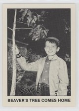 1983 Pacific Leave it to Beaver Beaver's Tree Comes Home #31 3c7