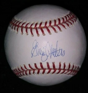 NY Yankees 1977 & 78 WS Champ Graig Nettles Autographed OMLB Steiner COA - Picture 1 of 8