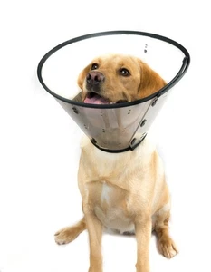 Collar inteligente MDC cono perro y gato collar electrónico para cirugía de recuperación talla 3 - Imagen 1 de 6