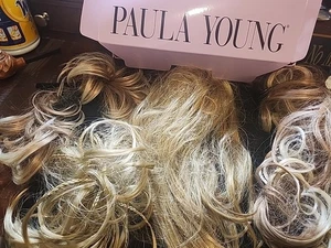 Capelli Paula Young 4 Pezzi 4 Estensioni A6293 Colore Meryl #14 CON SCATOLA. R390 - Foto 1 di 9
