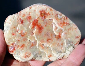 Dinosaurier Coprolit (Poop) • Trommelstein 9,1 Unzen - Bild 1 von 8
