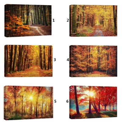 Impresión artística enmarcada arte de pared lienzo paisaje bosque naturaleza otoño Foto 1 de 2