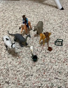 Horse & other animals - Picture 1 of 1