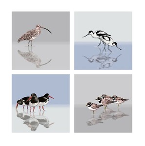 Wildlife greeting card Waders a-wading curlew avocet ringed plover oystercatcher