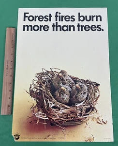 Cartel de colección 1971 oso ahumado 13"x18,5 ""Los incendios forestales queman más que los árboles - Imagen 1 de 9