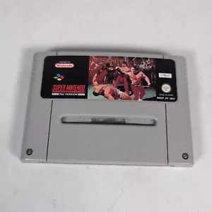 Videojuego Pit Fighter Nintendo SNES SOLO CARTUCHO PAL - Imagen 1 de 5
