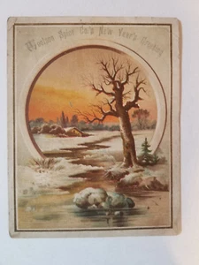 Woolson Spice Co's New Year's Greeting Victorian Advertising Trade Card - Picture 1 of 4