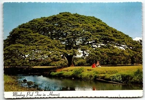 Monkey Pod Tree Chrome Postcard Hawaii HI UNP - Picture 1 of 2