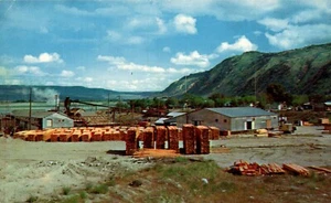 POSTCARD LOGGING TYPICAL SMALL SAWMILL IN OREGON - Picture 1 of 2