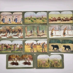 11 Antique 1899 T. W. Ingersoll Lithographic Stereoview Cards Big Game Hunting - Picture 1 of 2