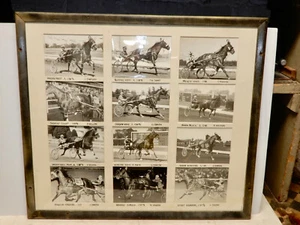 1950s FRAMED HORSE HARNESS RACING DISPLAY JOCKEYS 12-5X7 BLACK WHITE GLOSSYS - Picture 1 of 7