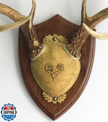 Taxidermists Woodshop TTW Ultimate Kit de Montaje de Cuerno - Nogal Negro Foto 1 de 2