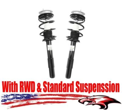 Puntales delanteros para BMW 525i 2004-2007 tracción trasera con suspensión estándar Foto 1 de 4