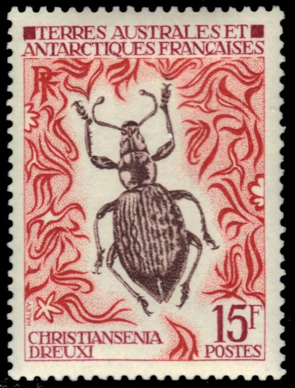 FRENCH ANTARCTICA 46 - Insects "Christiansenia dreuxi" (pb32279) - Image 1 of 1