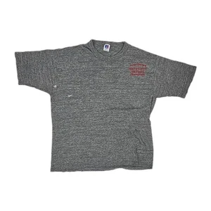 Camiseta deportiva Russell de colección de los años 80, gris, camiseta de una sola puntada, triple mezcla, Orangvale - Imagen 1 de 20