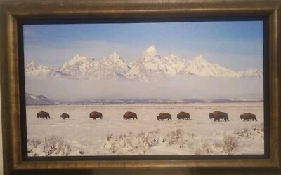 Thomas Mangelsen "The Long March" Limited Edition - Image 1 of 4