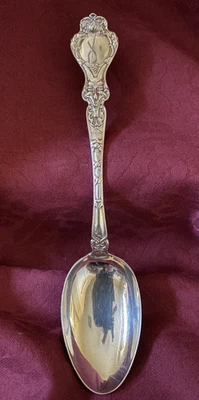 CUCHARA PARA SERVIR DE MESA VINTAGE ALVIN STERLING NEUREMBERG 1906 Foto 1 de 4
