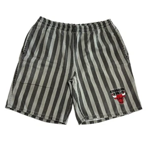 Vintage 90s NBA Chicago Bulls Pinstripe Cotton Shorts Mens Large In The Paint - Picture 1 of 9
